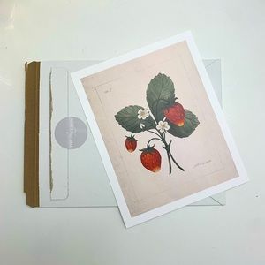 Jilly Box - Wild Strawberry Print